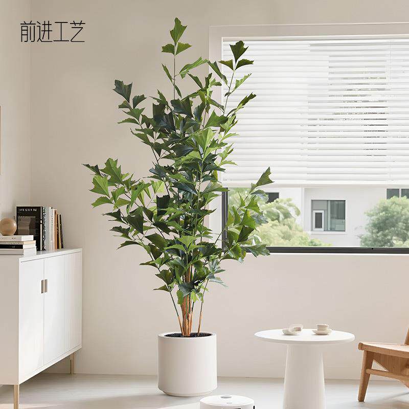 真鱼尾葵客厅大型绿植酒店造景盆栽ins风家居装饰绿植