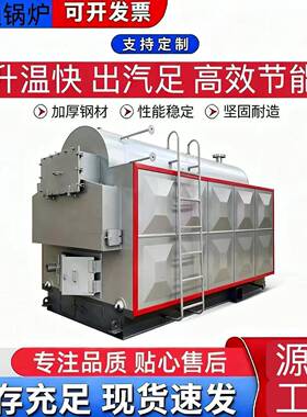 燃煤燃生物质锅炉大型集中供暖蒸汽发电粮食烘干汽水两用炉