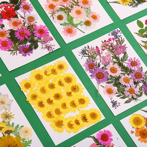 diy造纸术古法干花材料餐桌花艺