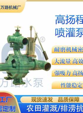 农用高压水泵高扬程抽水机农田喷灌用离心泵