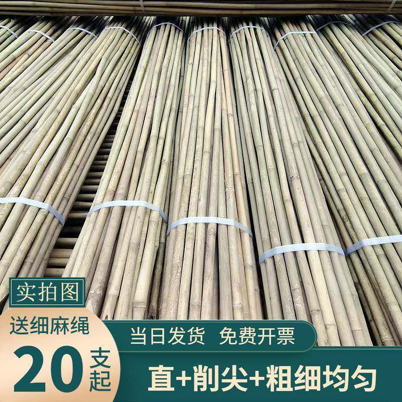 竹竿子搭架菜园小竹子细竹杆豆角黄瓜月季支架爬藤架旗杆2米支起