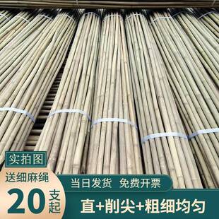 竹竿子搭架菜园小竹子细竹杆豆角黄瓜月季支架爬藤架旗杆2米支起