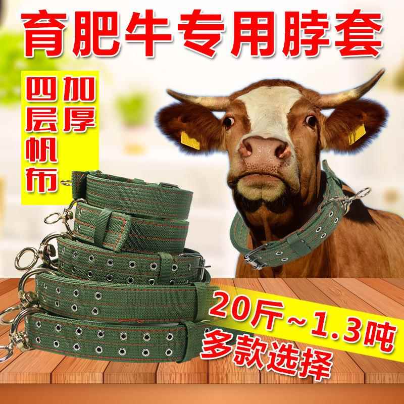 栓牛脖套绳子耐磨转扣专用的项圈脖套牛羊栓牛绳子牛脖套养牛场用