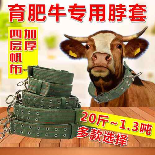 栓牛脖套绳子耐磨转扣专用的项圈脖套牛羊栓牛绳子牛脖套养牛场用