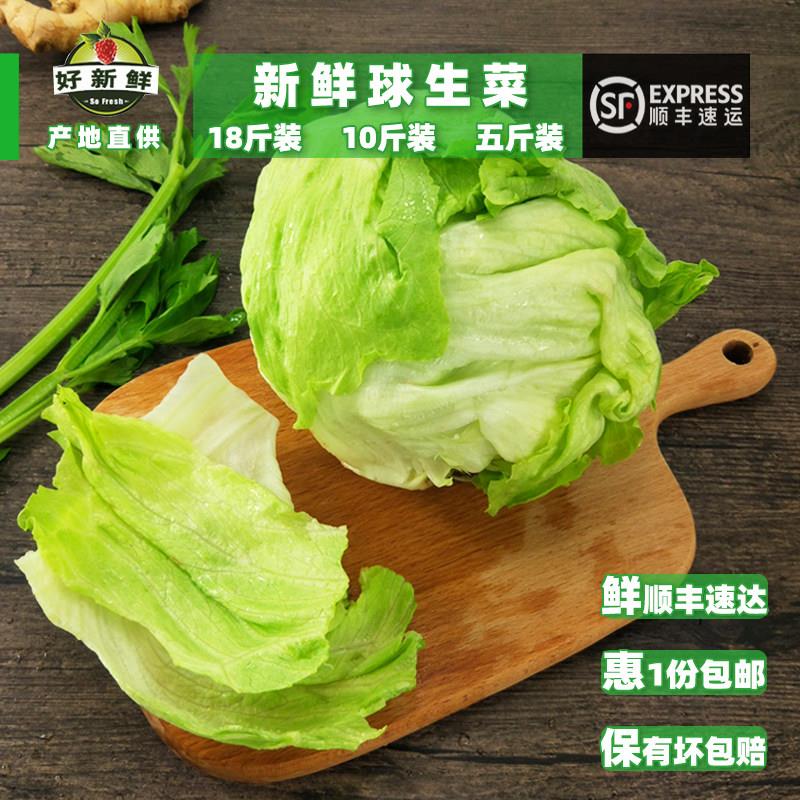 好新鲜球生菜沙拉蔬菜轻食食材西餐汉堡火锅生菜配菜顺丰速运包邮