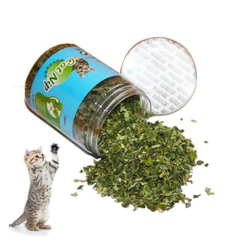 Cat Toy Cat nip Organic Natural Premium Cat