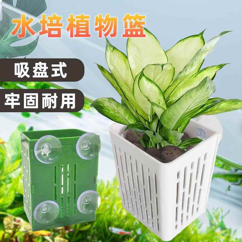 鱼缸挂壁定植篮水草固定神器水培底座吸盘式种植篮造景养鱼花装饰