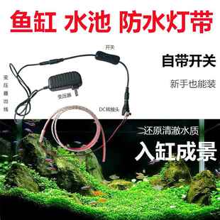 led水下水池鱼缸灯带防水户外超亮l灯条低压自粘灯带条带开关