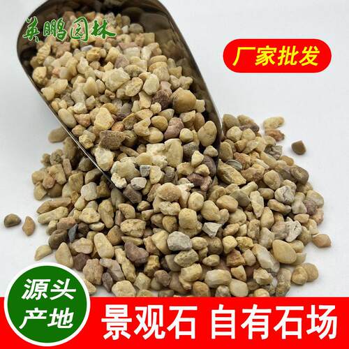 彩色胶粘小石子黄色水洗石建筑路面水磨石子透水材料