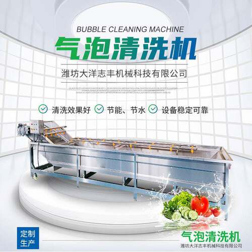 全自动气泡清洗机304不锈钢蔬菜清洗设备可调速连续式白菜清洗机