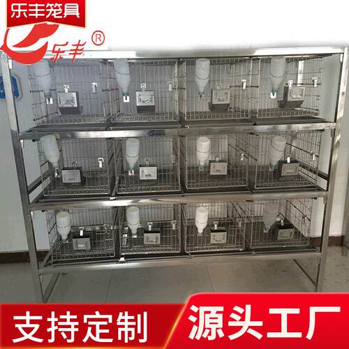 养殖设备干养式不锈钢实验兔笼连体自动化三层兔笼繁育笼