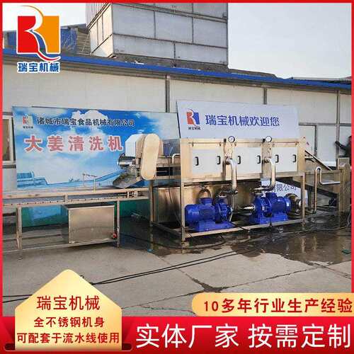全自动大姜清洗机压喷淋去泥清洗机洋姜加工洗姜机