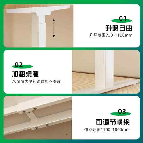 双电机脑电动降桌人体工学智能电升桌学习桌桌电竞529桌办公书桌