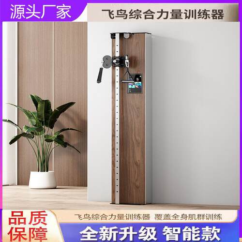 智能数字小飞鸟龙门架健身器材架综合训练器壁挂式智能小飞鸟家用