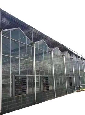 新型连栋WOT实能用型pc板璃温大玻棚全自动控制钢室管骨架设计智