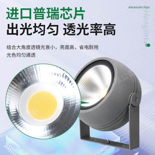 亚马逊照树灯户外射灯地插灯庭院园林投光灯七彩RGB插地射树灯
