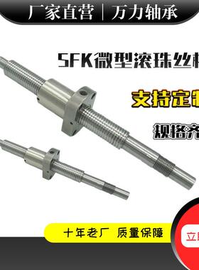 精密微型滚珠丝杆SFK0601/0801/0802/1002/1202厂家国产高精