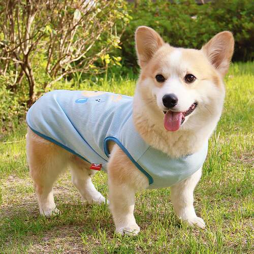 柴犬柯基比熊腊肠狗狗衣服春夏季凉凉衣薄背心防掉毛防晒外0824k