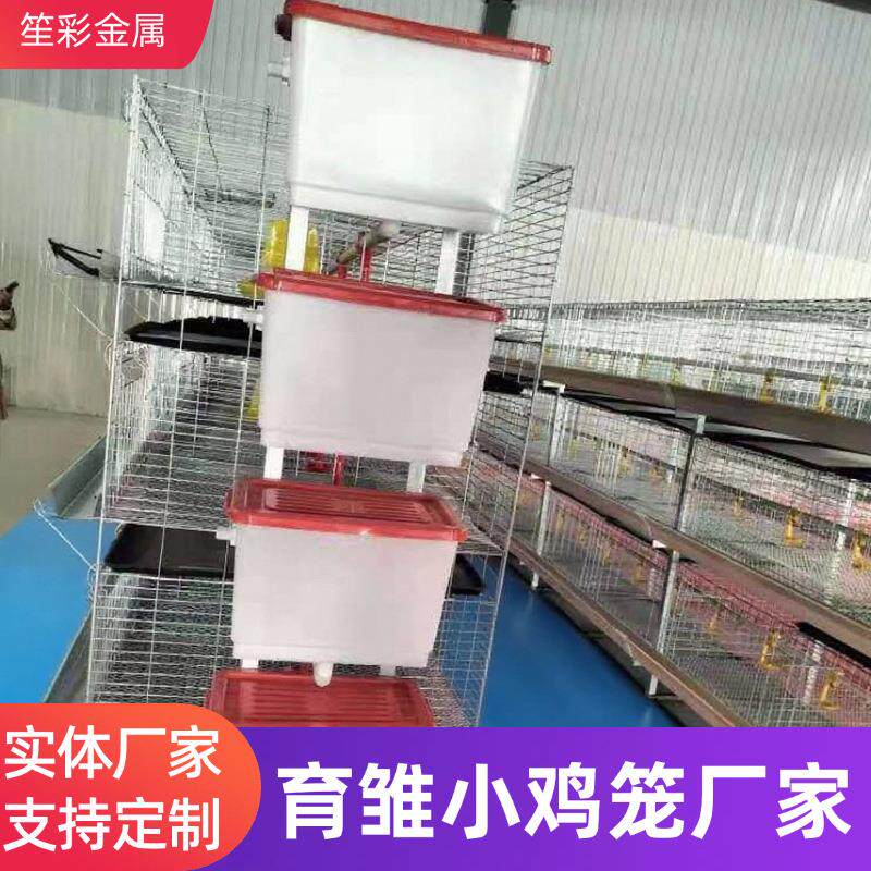 养殖笼育雏小鸡笼养鸡场用鸡笼自动水箱食槽粪盘机械设备小鸡笼