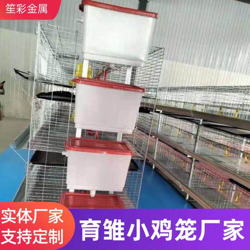 养殖笼育雏小鸡笼养鸡场用鸡笼自动水箱食槽粪盘机械设备小鸡笼