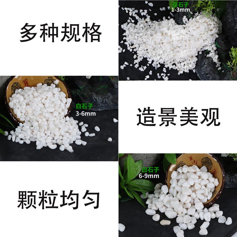 缸底砂石子免洗小白石XBI子鹅石雨花石造白景装饰底沙白色鱼石卵图片