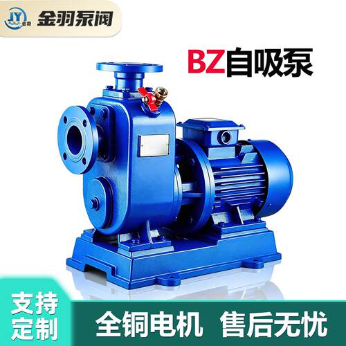 40BZ-18 一体式直连自吸泵 工厂循环给水 园林喷灌卧式离心泵