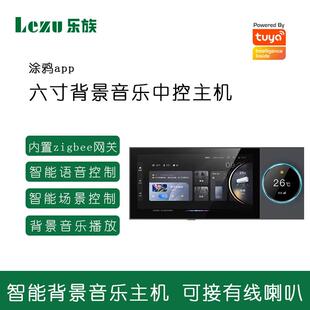 涂鸦六寸多功能全屋智能背景音乐主机自带ZigBee网关可接有线喇叭