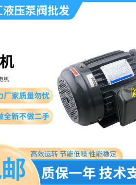 盛汇液压0.75KW/1.5/2.25/3.75/5.6/11/15KW内轴液压油泵专用电机