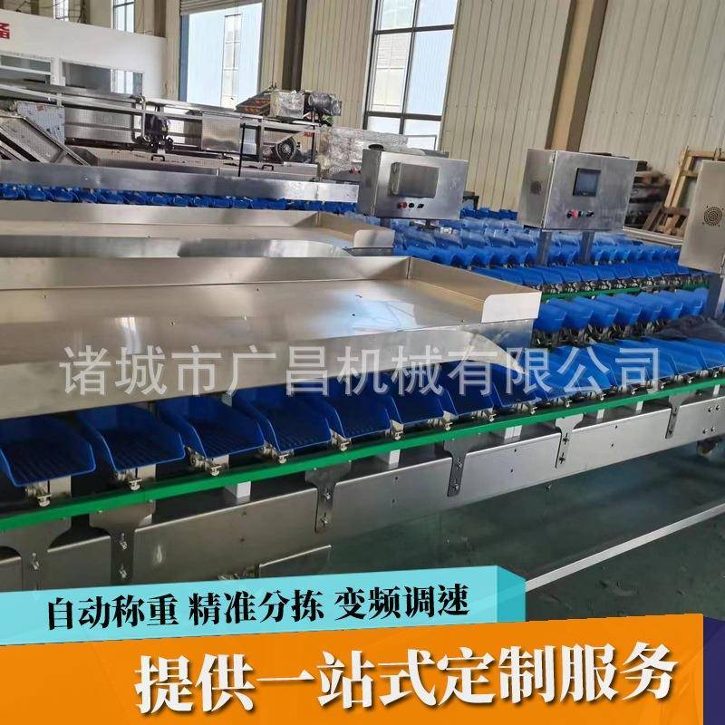 厂家海子重鲜量分选机全自动生蚝清洗蛎分拣机海自动称重分级机