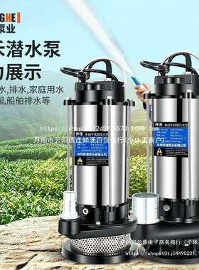 潜水泵220v家用抽水小型抽水机高扬程农用灌溉排污深井污水泵井水