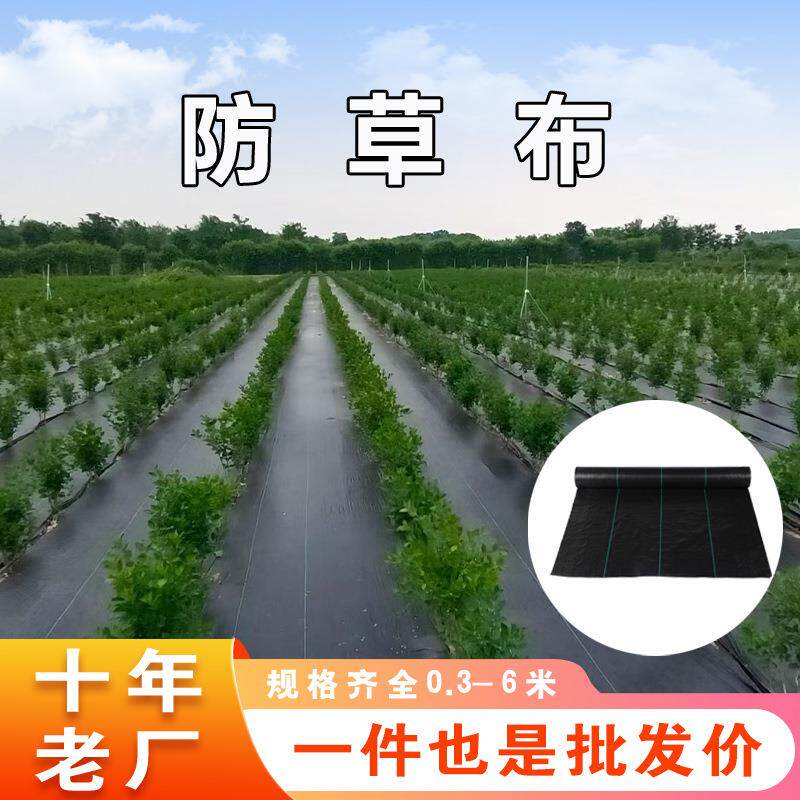 跨境供应耐用除草布果园新型防草膜园艺大棚地布盖草布防草布