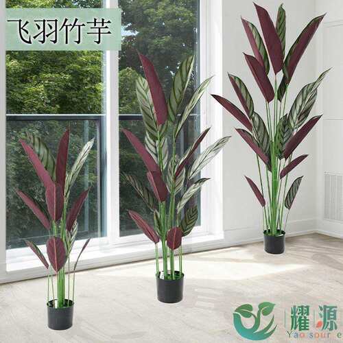 亚马逊仿生盆栽绿植飞羽竹芋酒店室内婚庆落地大型仿真树装饰