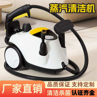 高溫蒸汽清潔機高壓清洗機家用廚房沙發(fā)家具殺菌消毒汽車貼大功率