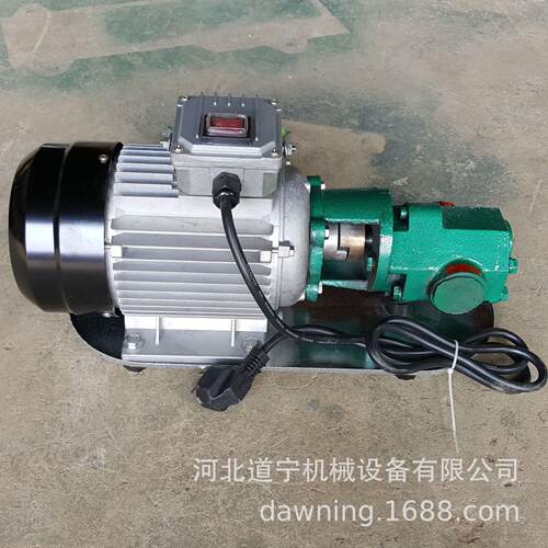 便携式手提泵WB型齿轮泵2油20V380V电C道宁动抽泵体积小重轻量大