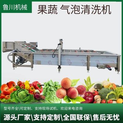 莲藕土豆去泥去污清洗设备高压喷淋洗菜机海红果气浪式清洗设备