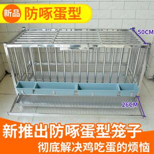 新款不锈钢滚蛋笼自动滚蛋鸡笼家用蛋鸡笼鸡窝防鸡吃蛋防啄蛋包邮