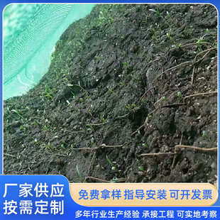 绿化客土喷播植草荒山复绿生态治理边坡施工山体团粒喷播防护网