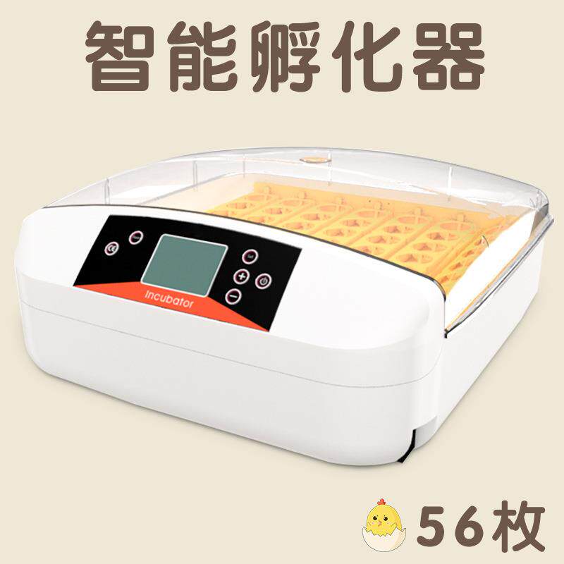 跨境全自动温湿双显翻蛋小鸡孵化器智能照蛋鹌鹑孵蛋器
