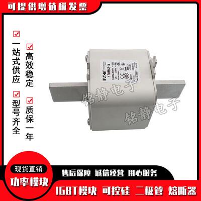170M6768 170M6769 170M6770 170M6771巴斯曼熔断器型号齐全