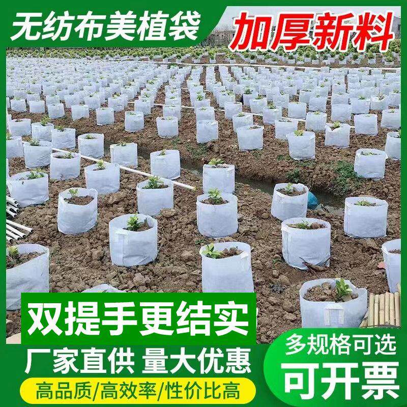 美植袋不织布种植袋加厚植树袋育苗袋植物营养袋提手白色育苗盘