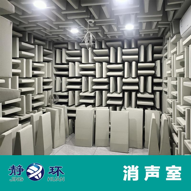静环声学消声室声学研发测试检测本底噪音10分贝 全半消声室
