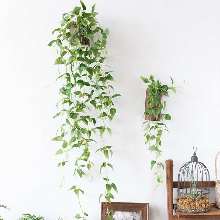 阿楹 墙上植物装饰壁挂花盆 吊垂藤阳台幼儿园墙面绿植小挂件