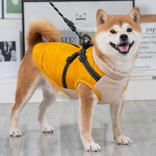 宠物狗狗衣服柴犬柯基泰迪秋装中小型犬柯牵引绳冬季棉衣2024新款
