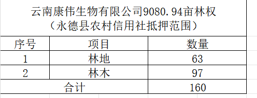 再次拍卖（破）云南康伟生物有限公司9080.94亩林权（永德县农村信用社抵押范围）