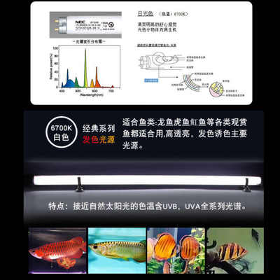 龙鱼专用鱼缸灯nec潜水灯管红龙鱼诱色发神灯增色led三基色水中金