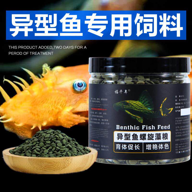 异形鱼饲料大帆胡子底栖鱼女王熊猫清道夫专用螺旋藻下沉型鱼粮食