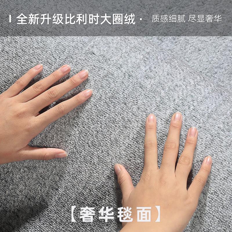 地毯客厅202经典-Z26新款轻奢免高级沙茶几垫床边卧房室间家用洗