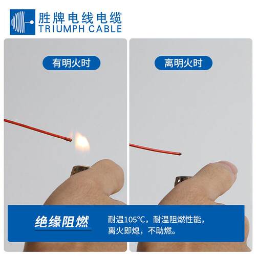 FLRY-A 2.5平方汽车线系列耐温-40°C-105°C VDE认证端子线