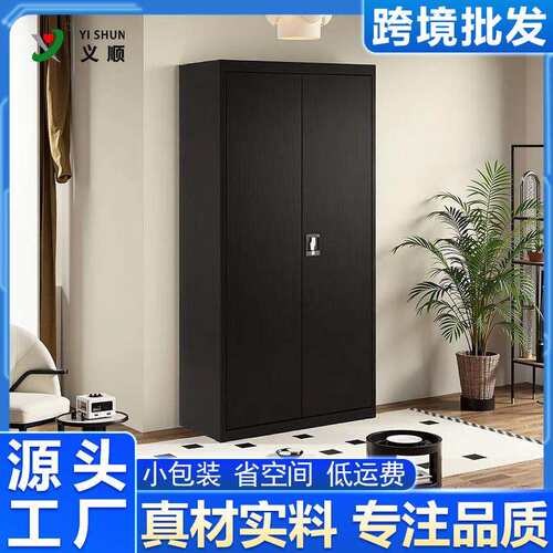 外贸2门文件柜办公室财务资料凭证柜家庭书柜车间金属储物柜