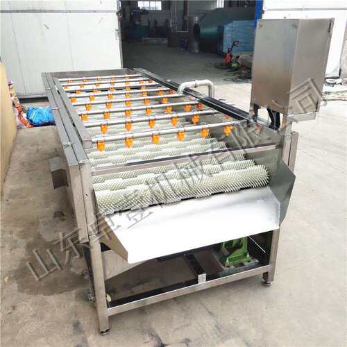 果蔬自动毛刷清洗机 预制菜毛辊清洗机 洗果机 生蚝高压清洗机